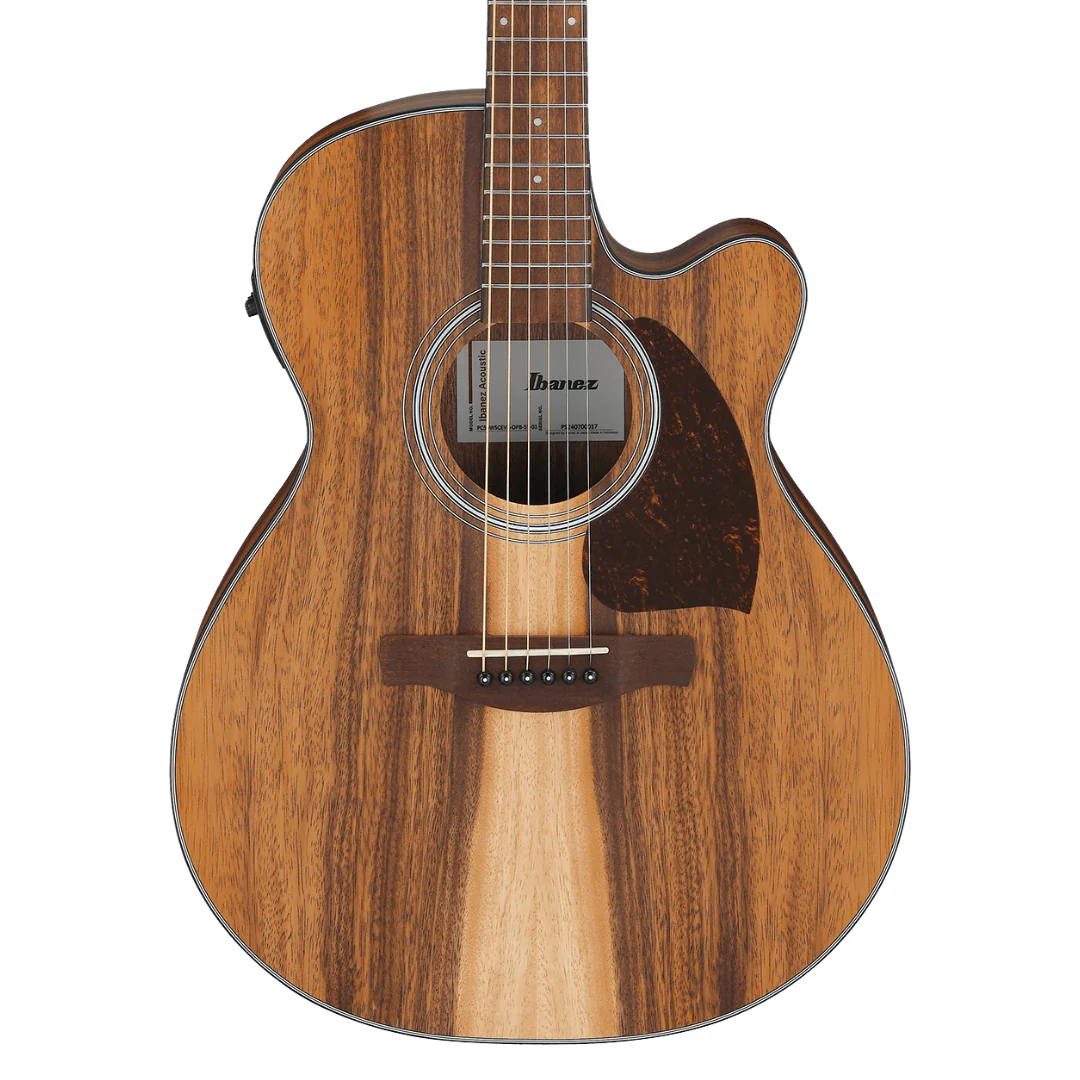 Acoustic Guitars